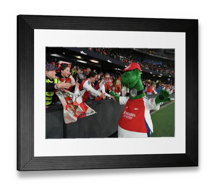 Framed Print : A-League All Stars Women v Arsenal Women FC Framed Print : A-League All Stars Women v Arsenal Women FC