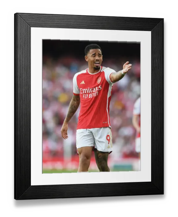 Framed Print : Arsenal FC v Everton FC - Premier League Framed Print : Arsenal FC v Everton FC - Premier League
