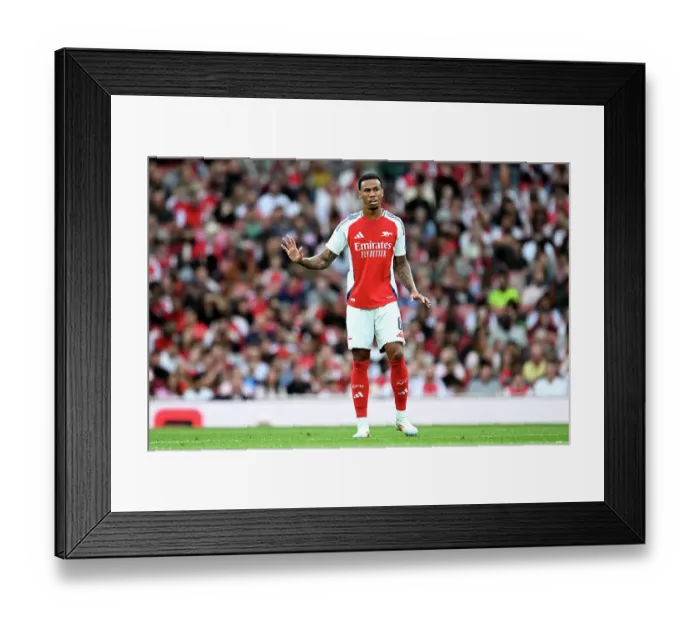 Framed Print : Arsenal v Bayer 04 Leverkusen - Pre-Season Friendly Framed Print : Arsenal v Bayer 04 Leverkusen - Pre-Season Friendly