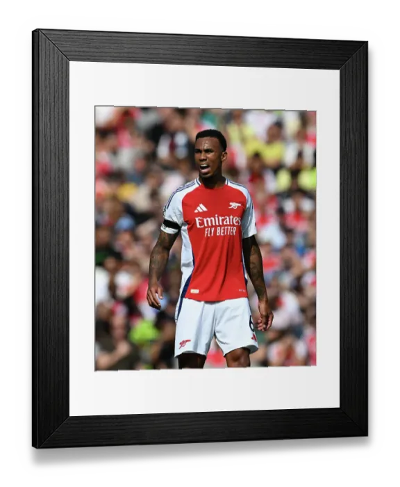 Framed Print : Arsenal FC v Wolverhampton Wanderers FC - Premier League Framed Print : Arsenal FC v Wolverhampton Wanderers FC - Premier League
