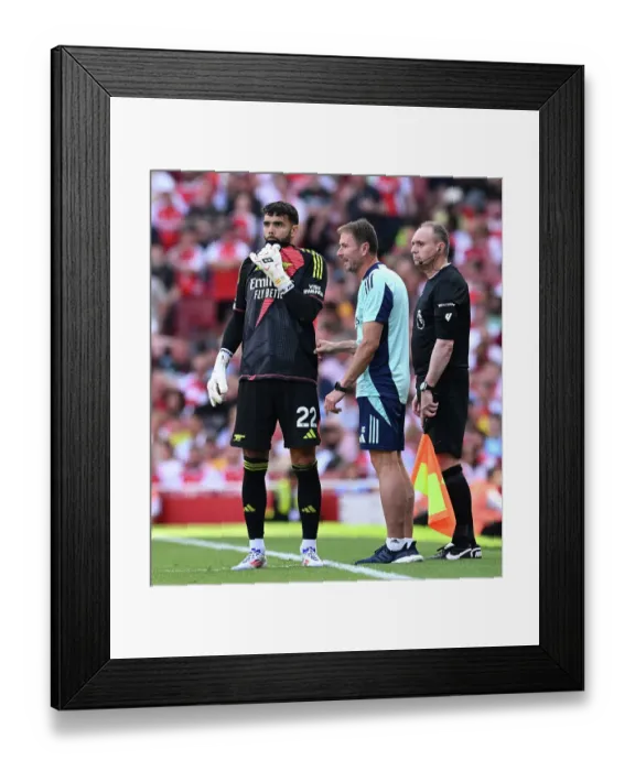 Framed Print : Arsenal FC v Wolverhampton Wanderers FC - Premier League