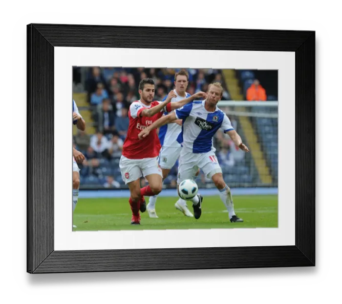 Framed Print : Cesc Fabregas vs. Vince Grella: Arsenal's Win at Blackburn Rovers, 2010-11 Premier League Framed Print : Cesc Fabregas vs. Vince Grella: Arsenal's Win at Blackburn Rovers, 2010-11 Premier League
