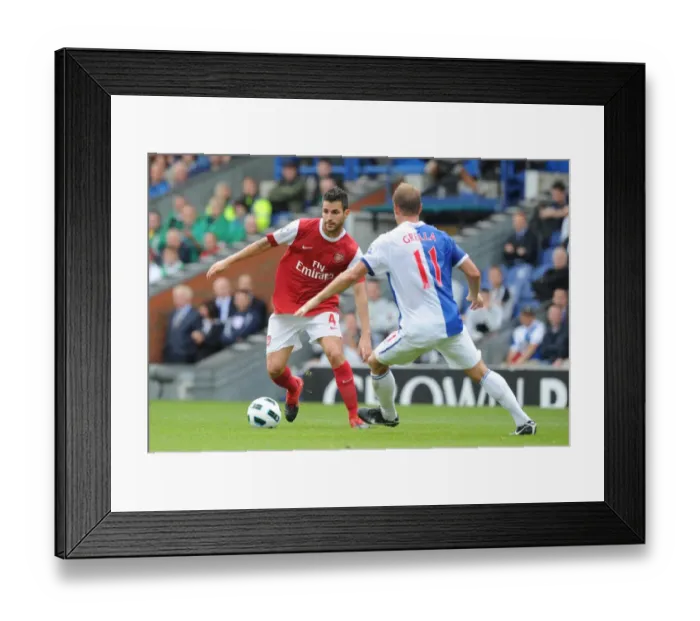 Framed Print : Cesc Fabregas (Arsenal) Vince Grella (Blackburn). Blackburn Rovers 1: 2 Arsenal Framed Print : Cesc Fabregas (Arsenal) Vince Grella (Blackburn). Blackburn Rovers 1: 2 Arsenal