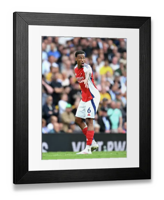 Framed Print : Arsenal FC v Brighton & Hove Albion FC - Premier League Arsenal FC v Brighton & Hove Albion FC - Premier League