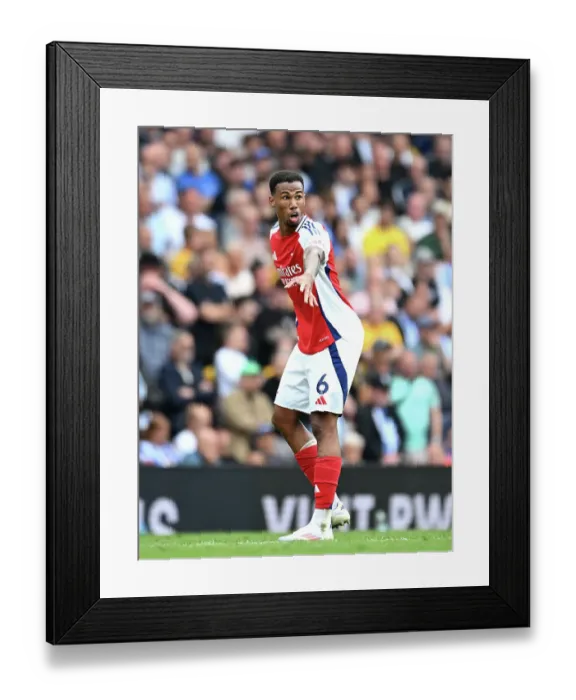 Framed Print : Arsenal FC v Brighton & Hove Albion FC - Premier League Arsenal FC v Brighton & Hove Albion FC - Premier League