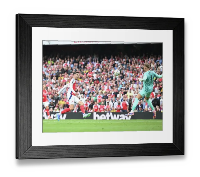 Framed Print : Arsenal FC v Brighton & Hove Albion FC - Premier League Arsenal FC v Brighton & Hove Albion FC - Premier League Framed Print : Arsenal FC v Brighton & Hove Albion FC - Premier League Arsenal FC v Brighton & Hove Albion FC - Premier League