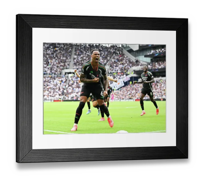 Framed Print : Tottenham Hotspur FC v Arsenal FC - Premier League Framed Print : Tottenham Hotspur FC v Arsenal FC - Premier League