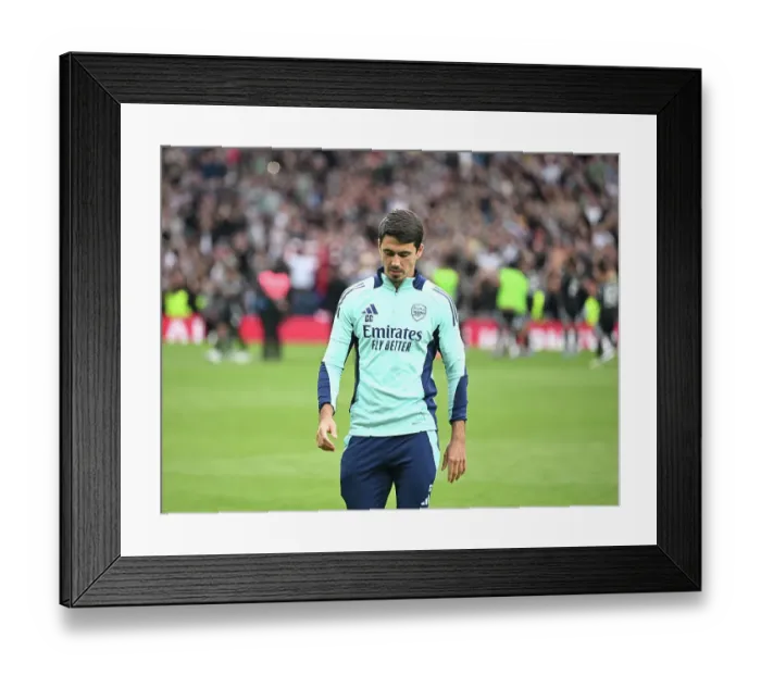Framed Print : Tottenham Hotspur FC v Arsenal FC - Premier League Framed Print : Tottenham Hotspur FC v Arsenal FC - Premier League