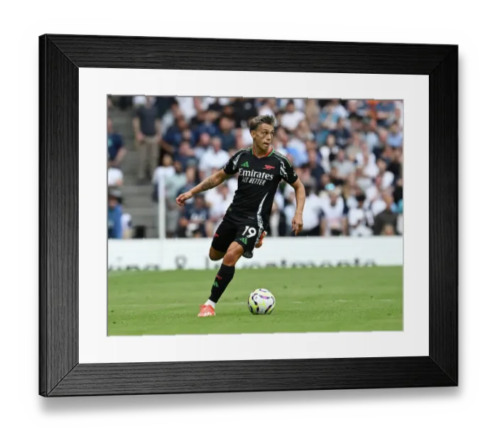Framed Print : Tottenham Hotspur FC v Arsenal FC - Premier League