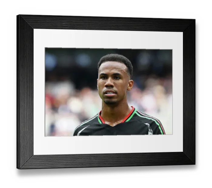 Framed Print : Tottenham Hotspur FC v Arsenal FC - Premier League
