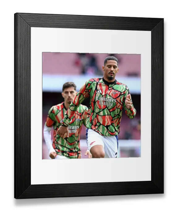 Framed Print : Arsenal FC v Leicester City FC - Premier League Framed Print : Arsenal FC v Leicester City FC - Premier League