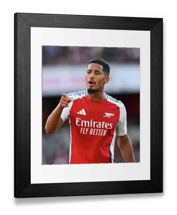 Framed Print : Arsenal FC v Southampton FC - Premier League Framed Print : Arsenal FC v Southampton FC - Premier League