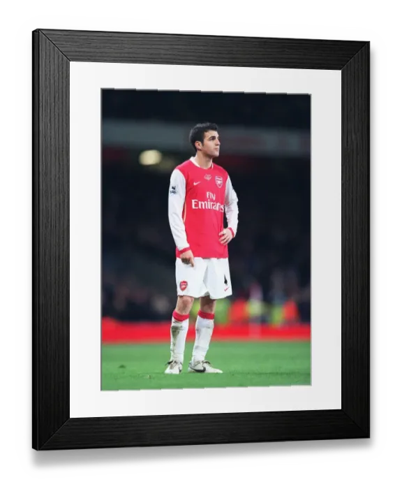 Framed Print : Cesc Fabregas's Winning Goal: Arsenal 2-1 Manchester United, FA Premiership, Emirates Stadium (01 / 21 / 07) Framed Print : Cesc Fabregas's Winning Goal: Arsenal 2-1 Manchester United, FA Premiership, Emirates Stadium (01 / 21 / 07)