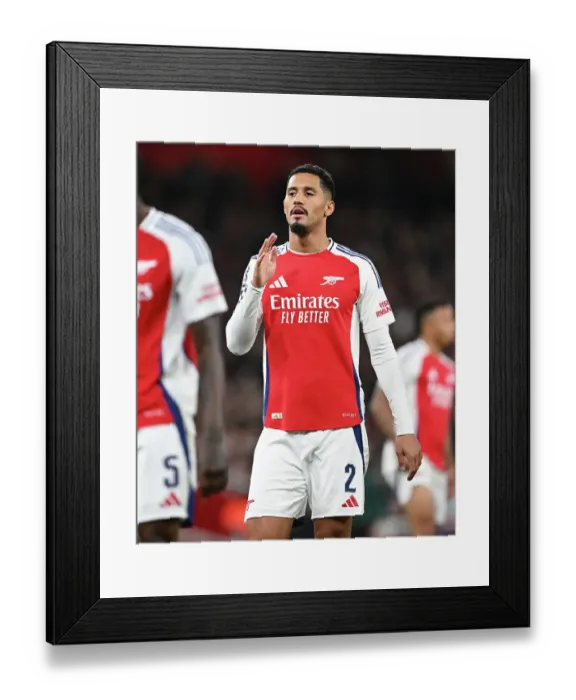 Framed Print : Arsenal FC v FC Shakhtar Donetsk - UEFA Champions League 2024 / 25 League Phase MD3 Framed Print : Arsenal FC v FC Shakhtar Donetsk - UEFA Champions League 2024 / 25 League Phase MD3