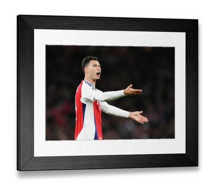 Framed Print : Arsenal FC v FC Shakhtar Donetsk - UEFA Champions League 2024 / 25 League Phase MD3 Framed Print : Arsenal FC v FC Shakhtar Donetsk - UEFA Champions League 2024 / 25 League Phase MD3