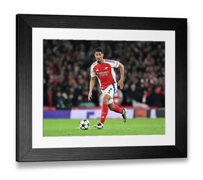 Framed Print : Arsenal FC v FC Shakhtar Donetsk - UEFA Champions League 2024 / 25 League Phase MD3 Framed Print : Arsenal FC v FC Shakhtar Donetsk - UEFA Champions League 2024 / 25 League Phase MD3