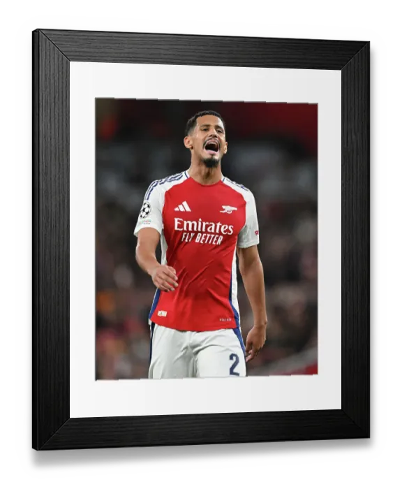 Framed Print : Arsenal FC v FC Shakhtar Donetsk - UEFA Champions League 2024 / 25 League Phase MD3 Framed Print : Arsenal FC v FC Shakhtar Donetsk - UEFA Champions League 2024 / 25 League Phase MD3