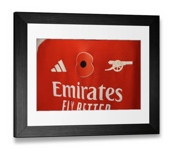 Framed Print : Arsenal v Brighton & Hove Albion - Barclays Women's Super League Arsenal v Brighton & Hove Albion - Barclays Women's Super League Framed Print : Arsenal v Brighton & Hove Albion - Barclays Women's Super League Arsenal v Brighton & Hove Albion - Barclays Women's Super League