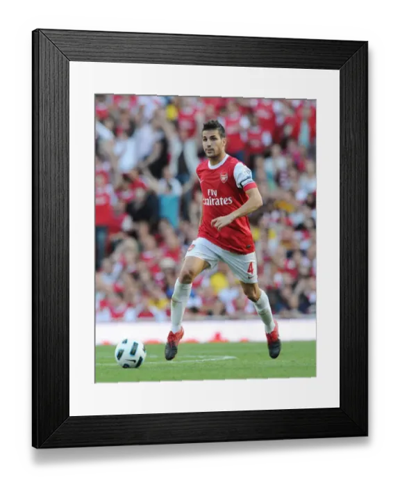 Framed Print : Cesc Fabregas (Arsenal). Arsenal 4: 1 Blackburn Rovers, Barclays Premier League Framed Print : Cesc Fabregas (Arsenal). Arsenal 4: 1 Blackburn Rovers, Barclays Premier League