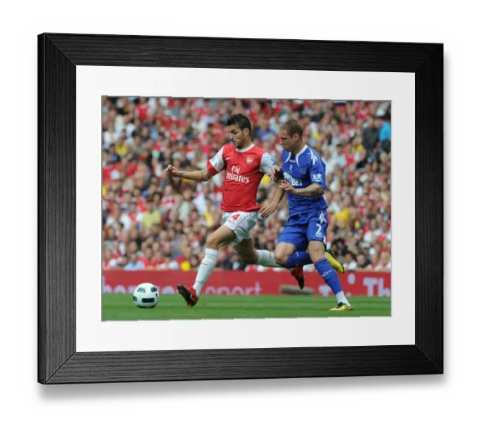 Framed Print : Cesc Fabregas (Arsenal) Gretar Steinsson (Bolton). Arsenal 4: 1 Blackburn Rovers Framed Print : Cesc Fabregas (Arsenal) Gretar Steinsson (Bolton). Arsenal 4: 1 Blackburn Rovers