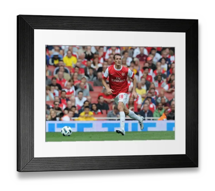 Framed Print : Sebastien Squillaci (Arsenal). Arsenal 4: 1 Blackburn Rovers, Barclays Premier League Framed Print : Sebastien Squillaci (Arsenal). Arsenal 4: 1 Blackburn Rovers, Barclays Premier League