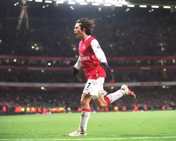 Tomas Rosicky celebrates scoring Arsenals 3rd goal