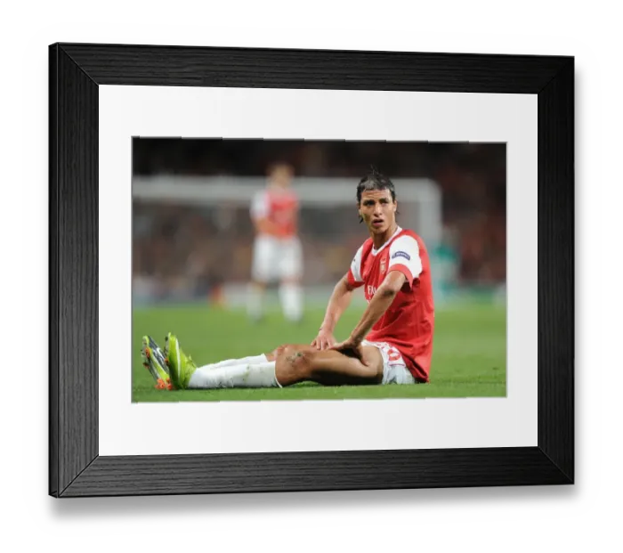 Framed Print : Marouane Chamakh (Arsenal). Arsenal 6: 0 SC Braga, UEFA Champions League Framed Print : Marouane Chamakh (Arsenal). Arsenal 6: 0 SC Braga, UEFA Champions League