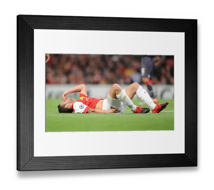 Framed Print : Cesc Fabregas (Arsenal). Arsenal 6: 0 SC Braga, UEFA Champions League, Group H Framed Print : Cesc Fabregas (Arsenal). Arsenal 6: 0 SC Braga, UEFA Champions League, Group H