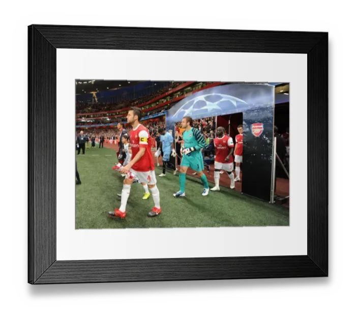 Framed Print : Cesc Fabregas and Manuel Almunia (Arsenal). Arsenal 6: 0 SC Braga, UEFA Champions League