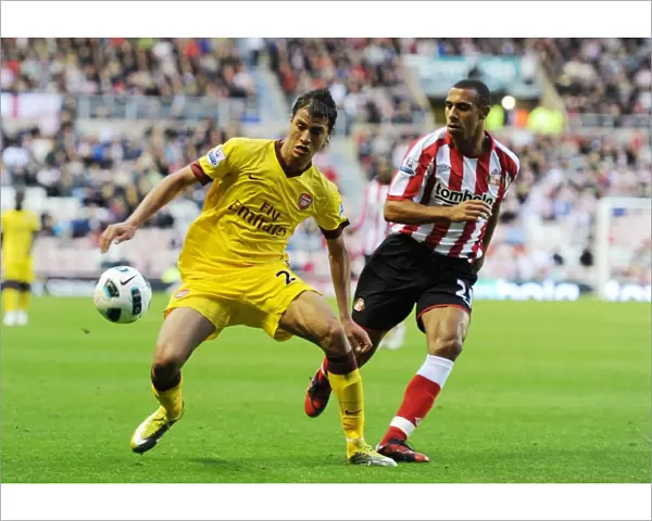 Marouane Chamakh (Arsenal) Anton Ferdinand (Sunderland). Sunderland 1: 1 Arsenal