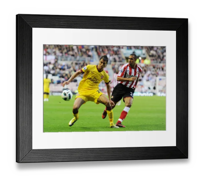 Framed Print : Marouane Chamakh (Arsenal) Anton Ferdinand (Sunderland). Sunderland 1: 1 Arsenal Framed Print : Marouane Chamakh (Arsenal) Anton Ferdinand (Sunderland). Sunderland 1: 1 Arsenal