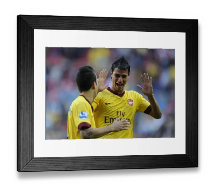 Framed Print : Cesc Fabregas celebrates scoring the Arsenal goal with Marouane Chamakh Framed Print : Cesc Fabregas celebrates scoring the Arsenal goal with Marouane Chamakh