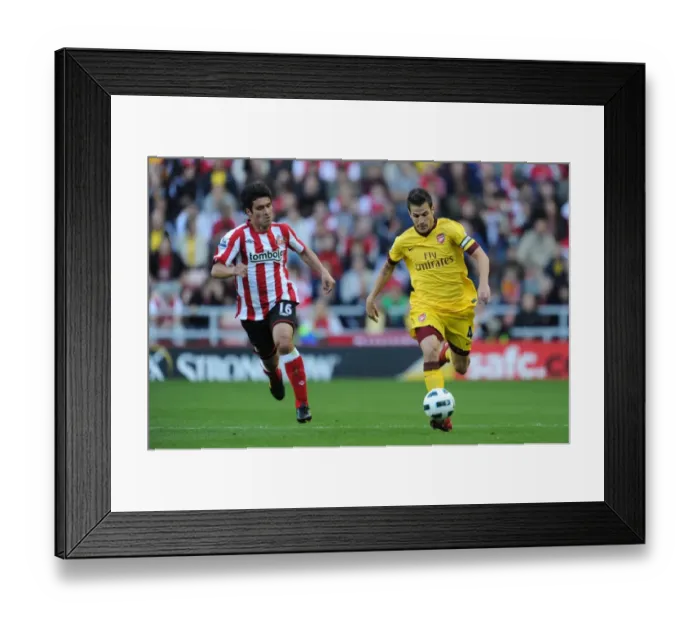 Framed Print : Cesc Fabregas (Arsenal) Cristian Riveros (Sunderland). Sunderland 1: 1 Arsenal