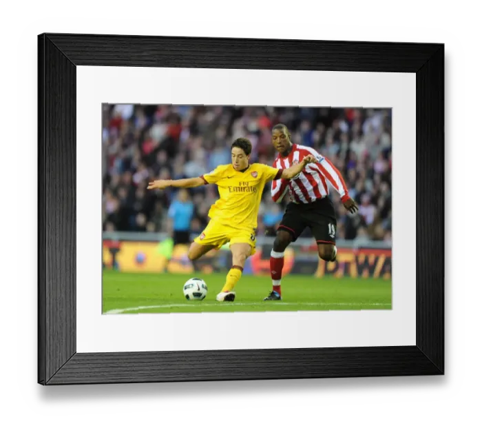 Framed Print : Samir Nasri (Arsenal) Titus Bramble (Sunderland). Sunderland 1: 1 Arsenal