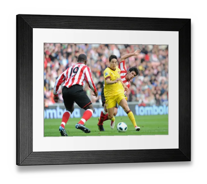Framed Print : Samir Nasri (Arsenal) Cristian Riveros and Titus Bramble(Sunderland). Sunderland 1 Framed Print : Samir Nasri (Arsenal) Cristian Riveros and Titus Bramble(Sunderland). Sunderland 1