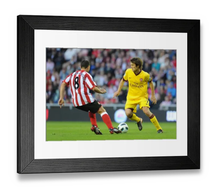 Framed Print : Tomas Rosicky (Arsenal) Steed Malbranque (Sunderland). Sunderland 1: 1 Arsenal