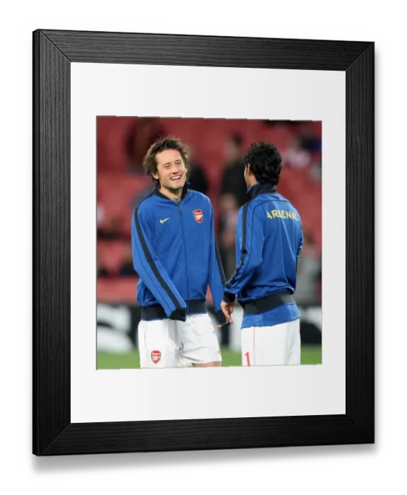 Framed Print : Tomas Rosicky (Arsenal). Arsenal 6: 0 SC Braga. UEFA Champions League. Group H