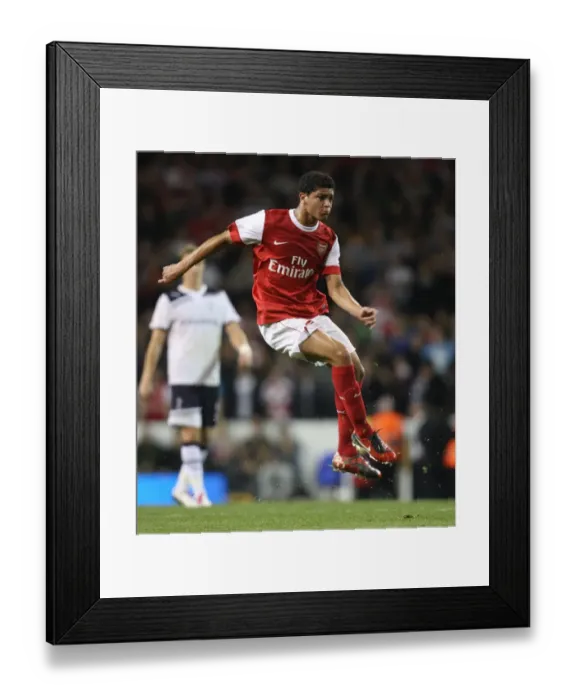 Framed Print : Denilson (Arsenal). Tottenham Hotspur 1: 4 Arsenal (aet). Carling Cup 3rd Round
