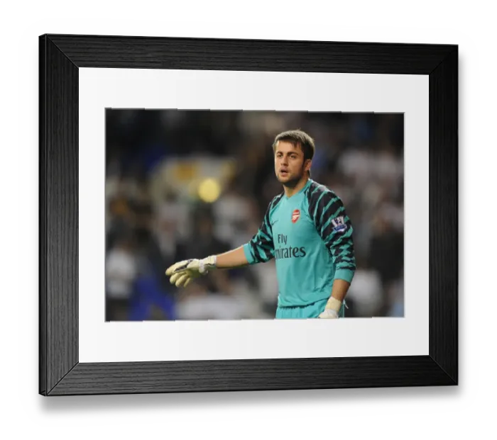 Framed Print : Arsenal's Lucasz Fabianski Shines in 4-1 Carling Cup Victory over Tottenham Hotspur Framed Print : Arsenal's Lucasz Fabianski Shines in 4-1 Carling Cup Victory over Tottenham Hotspur