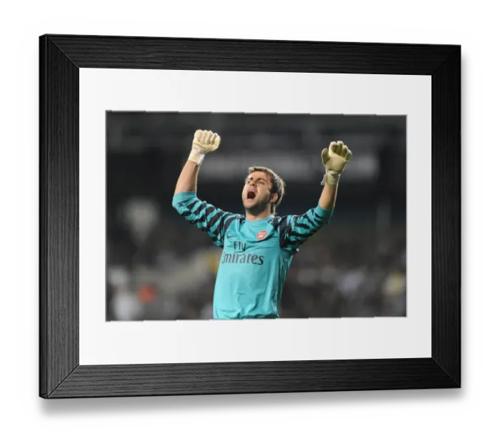 Framed Print : Lucasz Fabianski (Arsenal). Tottenham Hotspur 1: 4 Arsenal (aet). Carling Cup 3rd Round