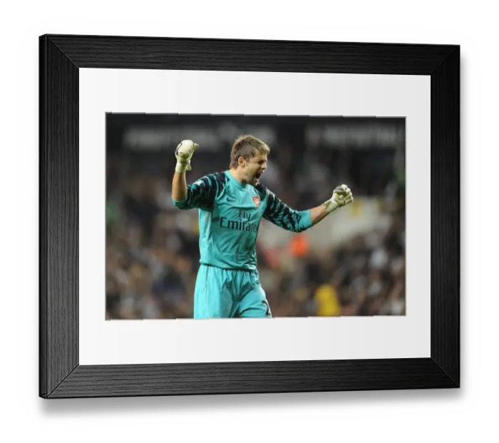 Framed Print : Arsenal's Fabianski Stars in 4-1 Carling Cup Triumph Over Tottenham Framed Print : Arsenal's Fabianski Stars in 4-1 Carling Cup Triumph Over Tottenham