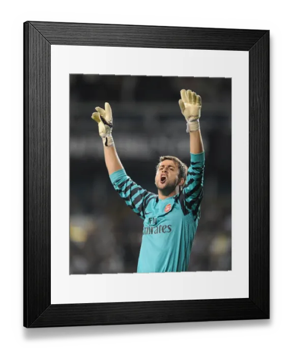 Framed Print : Arsenal's Glory: Fabianski's Heroics Lead Arsenal to a 4-1 Carling Cup Victory over Tottenham (AET) Framed Print : Arsenal's Glory: Fabianski's Heroics Lead Arsenal to a 4-1 Carling Cup Victory over Tottenham (AET)