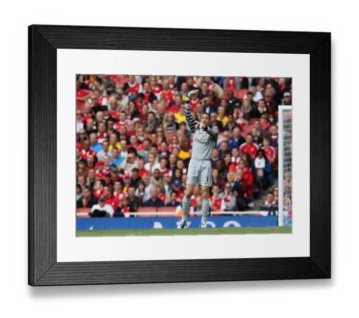 Framed Print : Manuel Almunia (Arsenal). Arsenal 2: 3 West Bromwich Albion, Barclays Premier League
