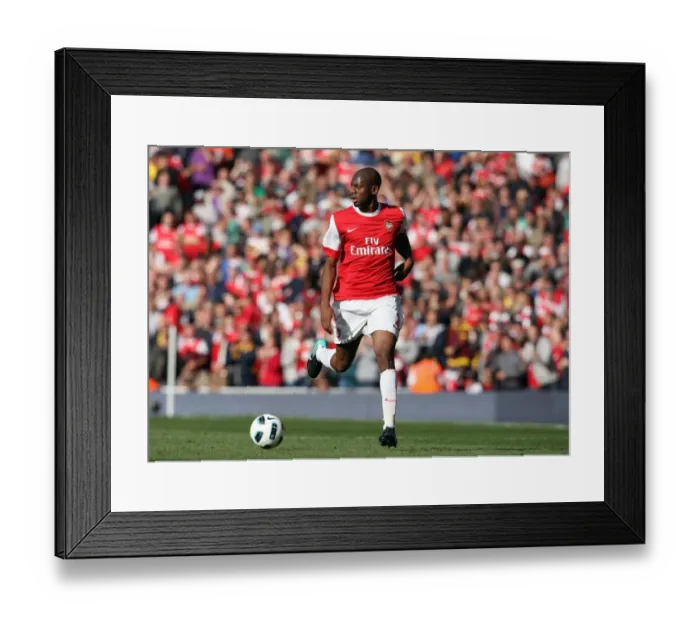 Framed Print : Abou Diaby (Arsenal). Arsenal 2: 3 West Bromwich Albion, Barclays Premier League