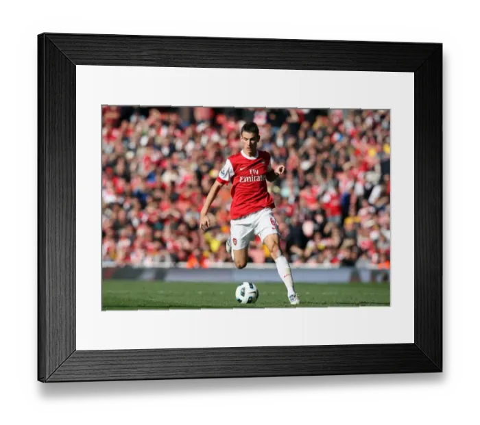 Framed Print : Laurent Koscielny (Arsenal). Arsenal 2: 3 West Bromwich Albion, Barclays Premier League Framed Print : Laurent Koscielny (Arsenal). Arsenal 2: 3 West Bromwich Albion, Barclays Premier League