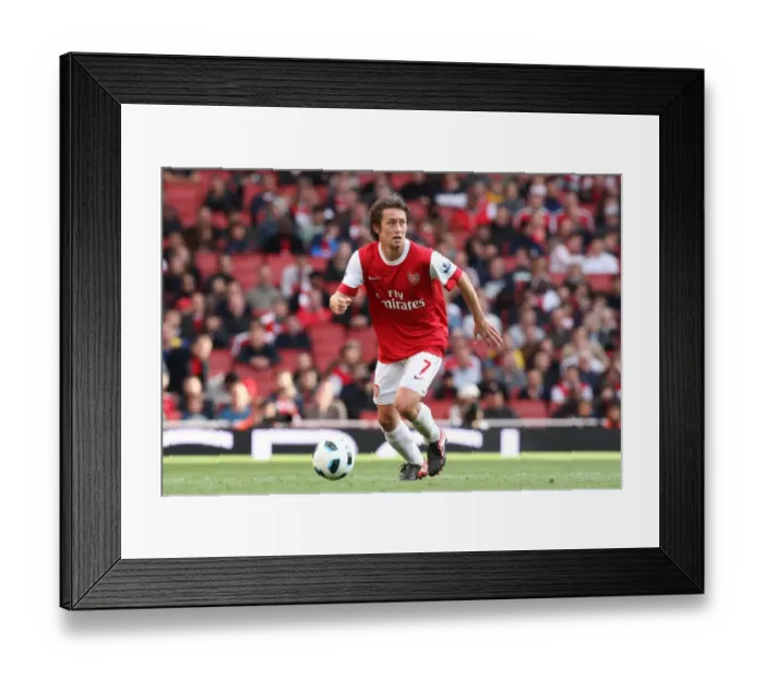 Framed Print : Tomas Rosicky (Arsenal). Arsenal 2: 3 West Bromwich Albion, Barclays Premier League Framed Print : Tomas Rosicky (Arsenal). Arsenal 2: 3 West Bromwich Albion, Barclays Premier League