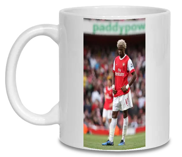 Alex Song (Arsenal). Arsenal 2: 3 West Bromwich Albion, Barclays Premier League
