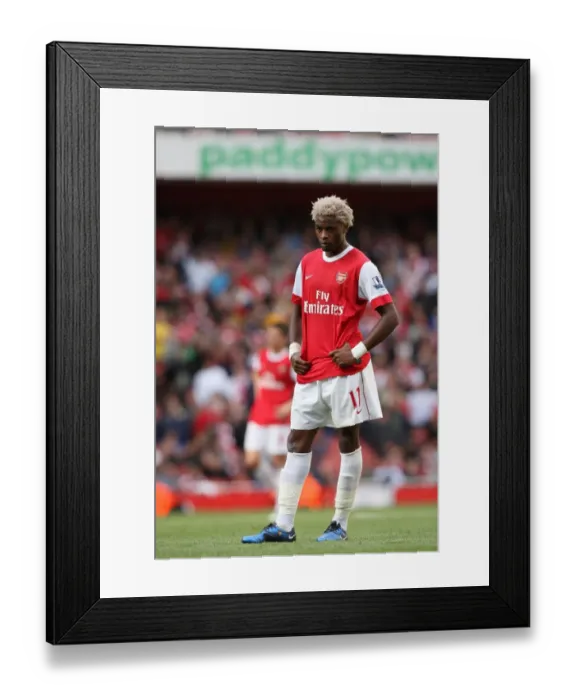 Framed Print : Alex Song (Arsenal). Arsenal 2: 3 West Bromwich Albion, Barclays Premier League
