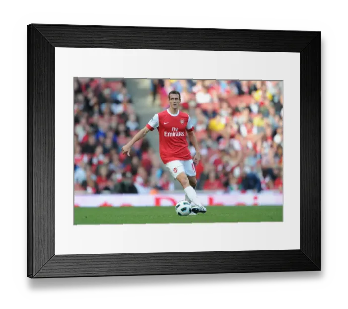 Framed Print : Sebastien Squillaci (Arsenal). Arsenal 2: 3 West Bromwich Albion, Barclays Premier League
