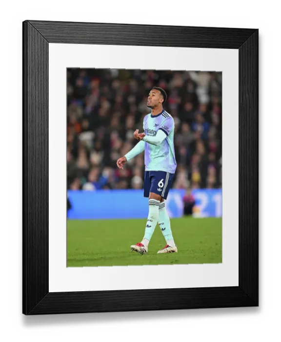 Framed Print : Crystal Palace FC v Arsenal FC - Premier League